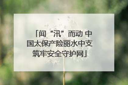 闻“汛”而动 中国太保产险丽水中支筑牢安全守护网