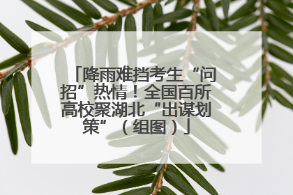 降雨难挡考生“问招”热情！全国百所高校聚湖北“出谋划策”（组图）