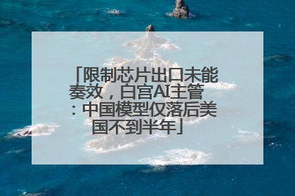 限制芯片出口未能奏效，白宫AI主管：中国模型仅落后美国不到半年