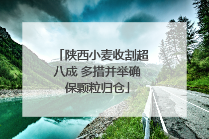 陕西小麦收割超八成 多措并举确保颗粒归仓