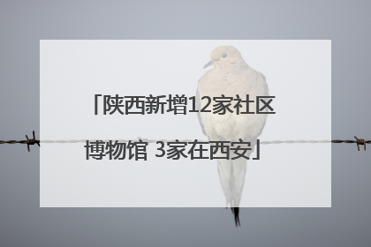 陕西新增12家社区博物馆 3家在西安