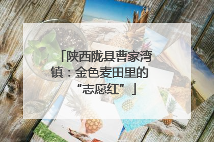 陕西陇县曹家湾镇：金色麦田里的“志愿红”
