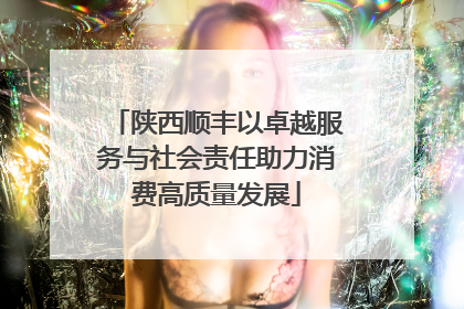 陕西顺丰以卓越服务与社会责任助力消费高质量发展