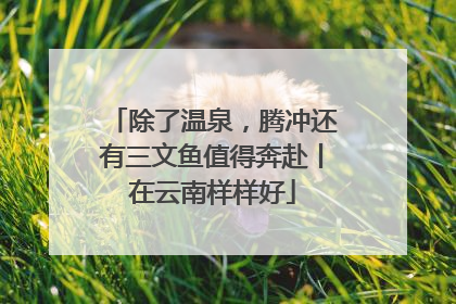 除了温泉，腾冲还有三文鱼值得奔赴丨在云南样样好