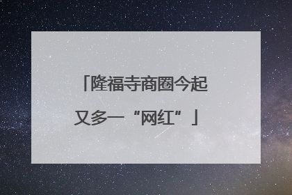 隆福寺商圈今起又多一“网红”