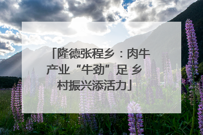 隆德张程乡：肉牛产业“牛劲”足 乡村振兴添活力