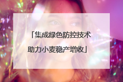 集成绿色防控技术助力小麦稳产增收