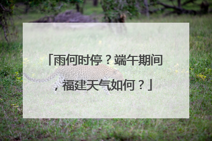雨何时停？端午期间，福建天气如何？