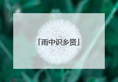 雨中识乡贤