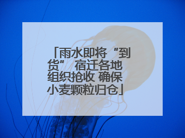 雨水即将“到货” 宿迁各地组织抢收 确保小麦颗粒归仓