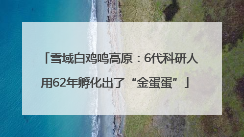 雪域白鸡鸣高原：6代科研人用62年孵化出了“金蛋蛋”