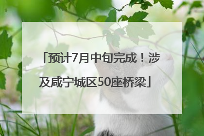 预计7月中旬完成！涉及咸宁城区50座桥梁