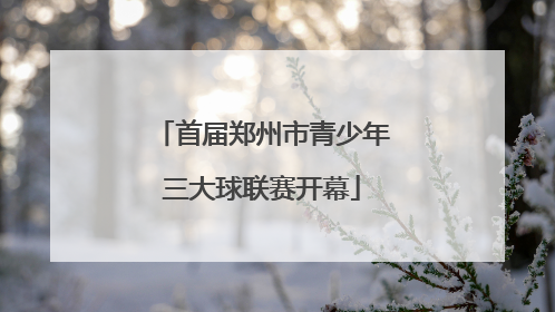 首届郑州市青少年三大球联赛开幕