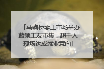 马驹桥零工市场举办蓝领工友市集，超千人现场达成就业意向