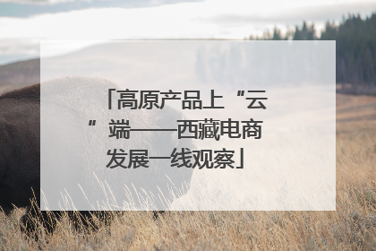 高原产品上“云”端——西藏电商发展一线观察