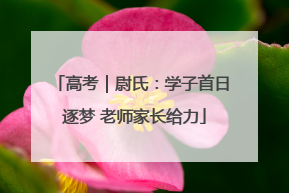 高考｜尉氏：学子首日逐梦 老师家长给力