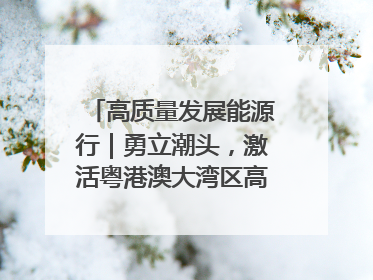 高质量发展能源行｜勇立潮头，激活粤港澳大湾区高质量发展动力源