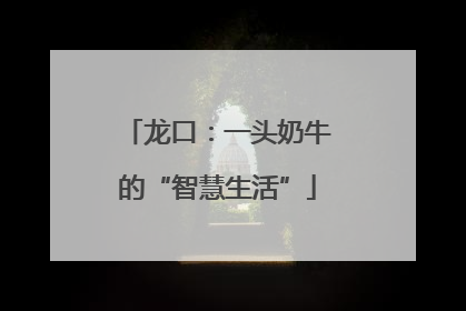 龙口：一头奶牛的“智慧生活”