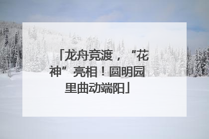 龙舟竞渡，“花神”亮相！圆明园里曲动端阳