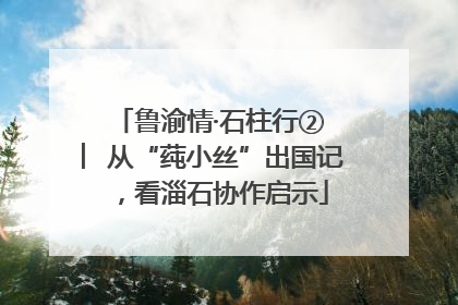 鲁渝情·石柱行② ︳从“莼小丝”出国记，看淄石协作启示