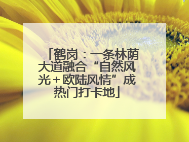 鹤岗：一条林荫大道融合“自然风光＋欧陆风情”成热门打卡地