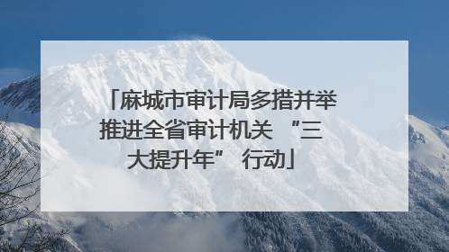 麻城市审计局多措并举推进全省审计机关 “三大提升年” 行动