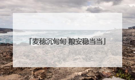 麦穗沉甸甸 粮安稳当当