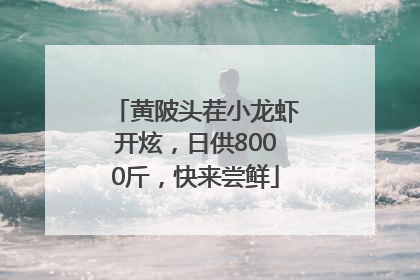黄陂头茬小龙虾开炫，日供8000斤，快来尝鲜