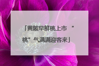 黄陂早鲜桃上市 “桃”气满满迎客来
