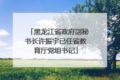 黑龙江省政府副秘书长许振宇已任省教育厅党组书记