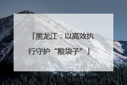 黑龙江：以高效执行守护“粮袋子”