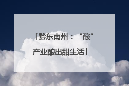 黔东南州：“酸”产业酿出甜生活