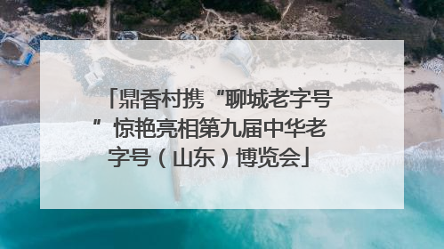 鼎香村携“聊城老字号”惊艳亮相第九届中华老字号（山东）博览会