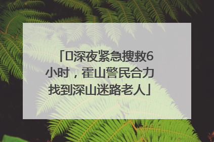 ﻿深夜紧急搜救6小时，霍山警民合力找到深山迷路老人