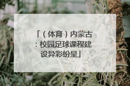 （体育）内蒙古：校园足球课程建设异彩纷呈