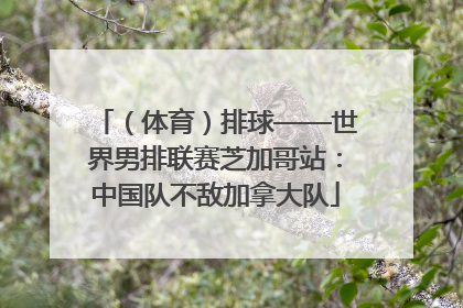 （体育）排球——世界男排联赛芝加哥站：中国队不敌加拿大队
