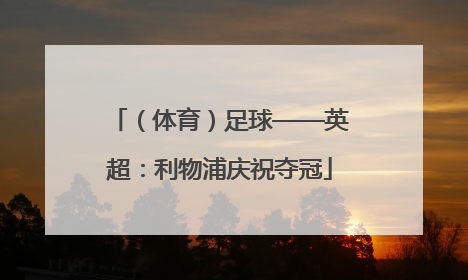 （体育）足球——英超：利物浦庆祝夺冠