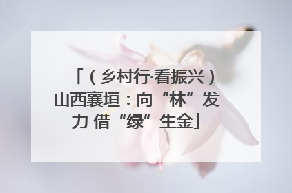 （乡村行·看振兴）山西襄垣：向“林”发力 借“绿”生金
