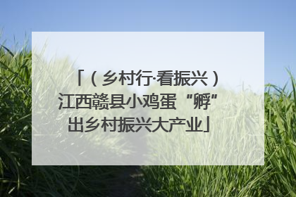 （乡村行·看振兴）江西赣县小鸡蛋“孵”出乡村振兴大产业