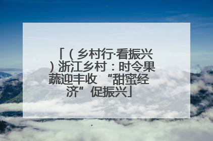 （乡村行·看振兴）浙江乡村：时令果蔬迎丰收 “甜蜜经济”促振兴