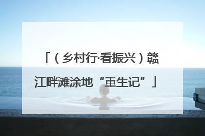 （乡村行·看振兴）赣江畔滩涂地“重生记”
