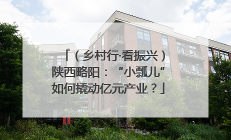 （乡村行·看振兴）陕西略阳：“小瓢儿”如何撬动亿元产业？