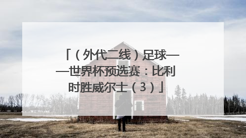 （外代二线）足球——世界杯预选赛：比利时胜威尔士（3）
