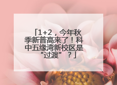 1+2，今年秋季新普高来了！科中五缘湾新校区是“过渡”？