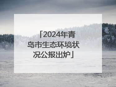 2024年青岛市生态环境状况公报出炉