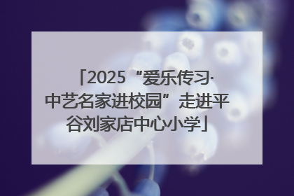 2025“爱乐传习·中艺名家进校园”走进平谷刘家店中心小学