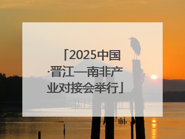 2025中国·晋江—南非产业对接会举行