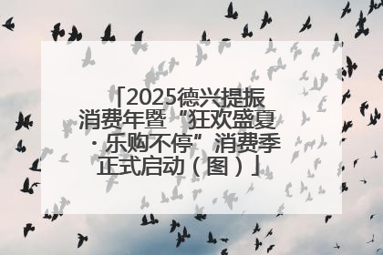 2025德兴提振消费年暨“狂欢盛夏・乐购不停”消费季正式启动（图）