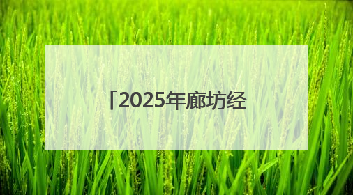 2025年廊坊经洽会亮点抢先看（十）丨离境退税“即买即退”便利国际友人“买买买”