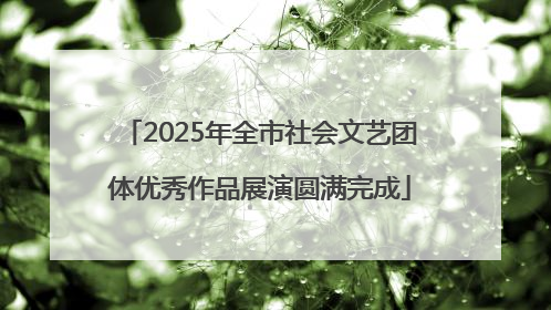 2025年全市社会文艺团体优秀作品展演圆满完成